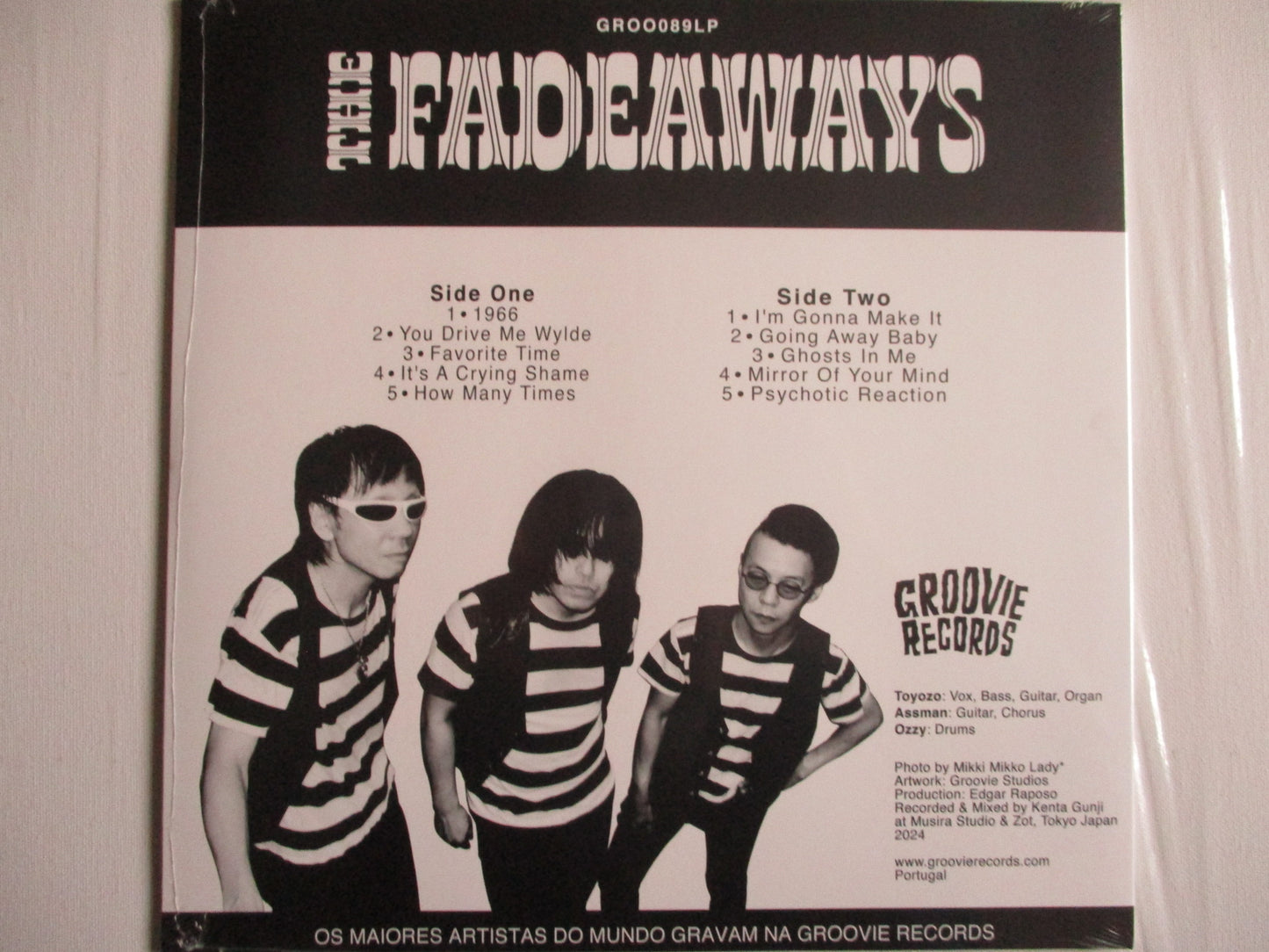 THE FADEAWAYS LP (garage punk , very few)