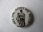FLUX OF PINK INDIANS arms punk badge
