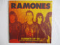 RAMONES summer of 89 LP