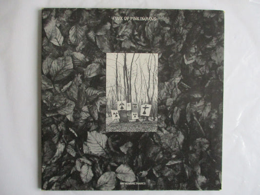 FLUX OF PINK INDIANS strive to survive LP G VG+
