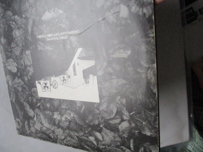 FLUX OF PINK INDIANS strive to survive LP G VG+