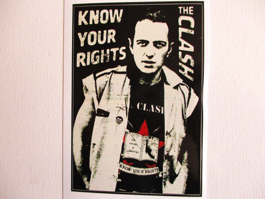 JOE STRUMMER large PUNK VINYL STICKER the clash