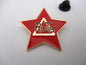 THE RUTS punk metal badge (star) gold