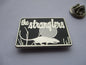 THE STRANGLERS rat/moon SILVER punk METAL BADGE